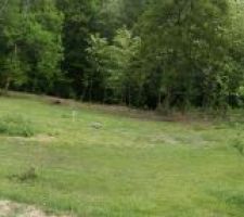 La photo du terrain que nous venons d'acqu&eacute;rir.