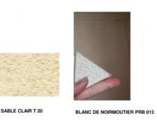 SABLE CLAIR OU BLANC DE NOIRMOUTIER???
