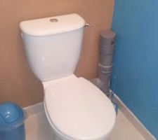 WC turquoise et marron