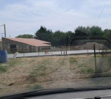 Séchage de 4 semaine