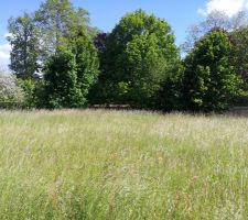 Le terrain brut avant construction, vue vers le sud