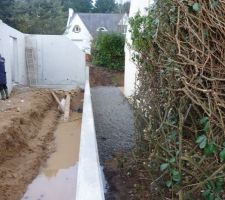 Piscine naturelle
