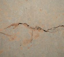 Fissure de retrait ou autre chose??
