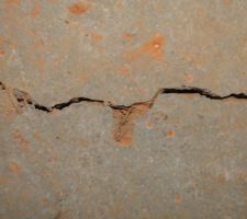 Fissure de retrait ou autre chose??