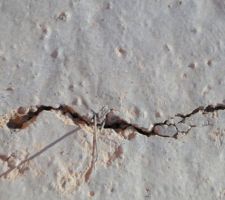 Fissure de retrait ou autre chose??