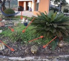 Le parc aux tortues