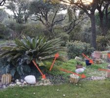 Le parc aux tortues