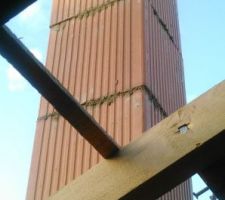 Conduit de cheminée