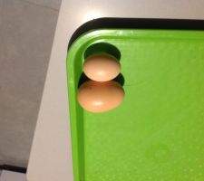 Premier oeuf