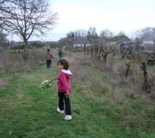 Ramassage des branches coup&eacute;es, tout le monde s'y met !