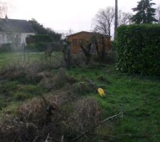 Les arbres sont coup&eacute;s, il ne reste plus qu'&agrave; les d&eacute;raciner.