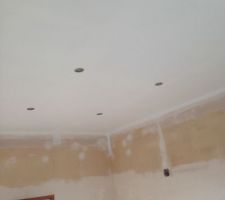 Plafond luminaire fini