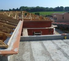 Vue du toit terrasse : alignement des parefeuilles