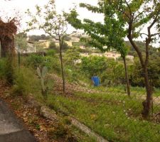 TERRAIN VUE DE LA ROUTE