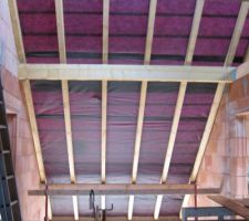 Mezzanine avec ecran de sous toiture