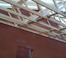 Charpente en cour (attache fermette)