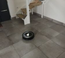 Voici "Ptit bonhomme"
Franchement efficace !