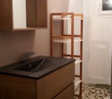 Salle d'eau presque terminée, il ne reste plus que la faïence et la porte de douche