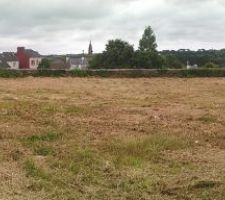 Terrain rasé avant le terrassement :)