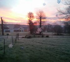 Ici... -2°C ... C est tout blanc de givre ! Pas un temps a mettre un chien dehors