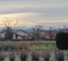 Vue de la baie vitrée