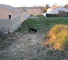 Vue du chemin depuis le terrain.
