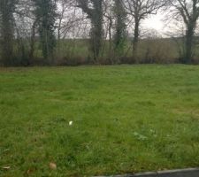 Notre beau terrain !!