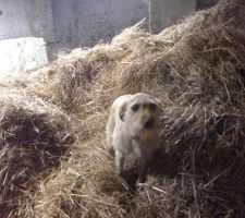 D&eacute;construction