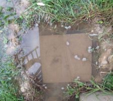 Inondation