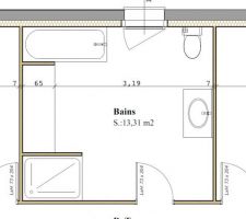 Voici la salle de bain avec ce que nous voulions dedans nous recherchons des idées de positionnement