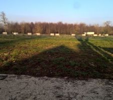 Emplacement de notre maison sur le terrain