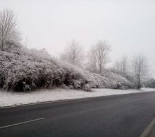 Quel temps à rester sous la couette!
