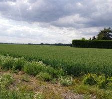 Le Terrain : ancien champs. l'arri&egrave;re du terrain est non constructible nous laissant une tr&egrave;s belle vue...quoi r&ecirc;ver de mieux dans un secteur o&ugrave; les maisons se construisent les une sur les autres?
