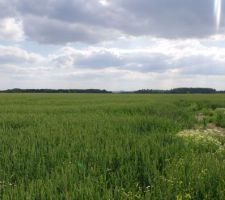 Le Terrain : ancien champs. l'arri&egrave;re du terrain est non constructible nous laissant une tr&egrave;s belle vue...quoi r&ecirc;ver de mieux dans un secteur o&ugrave; les maisons se construisent les une sur les autres?