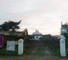 Le terrain sans les arbres !