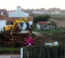 Le terrain sans les arbres !