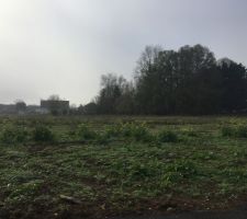 Notre terrain de 649 m2