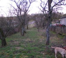 L'all&eacute;e avant les travaux d'assainissement ...