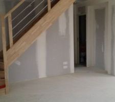 Escalier en hêtre avec contremarche