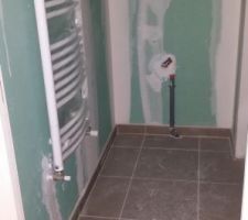 Salle d'eau rdc