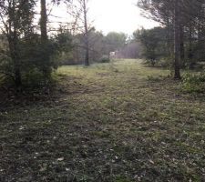 D&eacute;broussaillage en cours on y voit plus clair!