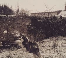 Le froid est là! Il a été éphémère, mais en attendant la couverture de la maison, on s'amuse
