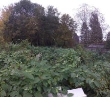 Avant construction, partie &agrave; droite