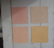Choix pour couleur de la facade