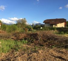 Vue plus proche du futur terrain