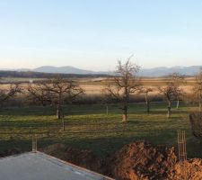 Vue sur les Vosges...et la nature