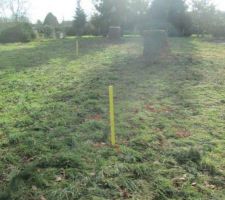 Implantation maison