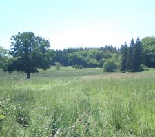 Emplacement du terrain avec la vue...