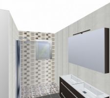 Simulation e,n 3D de la salle de bains