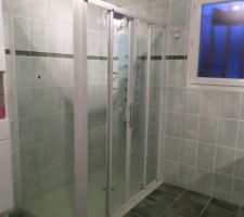 Cabine de douche avant changement de la paroi.